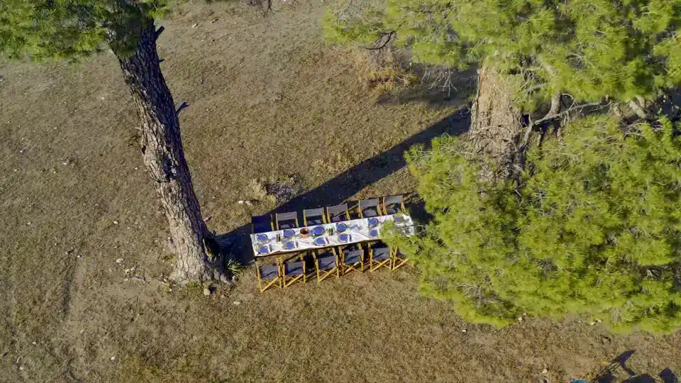 Roots Adventure Travel